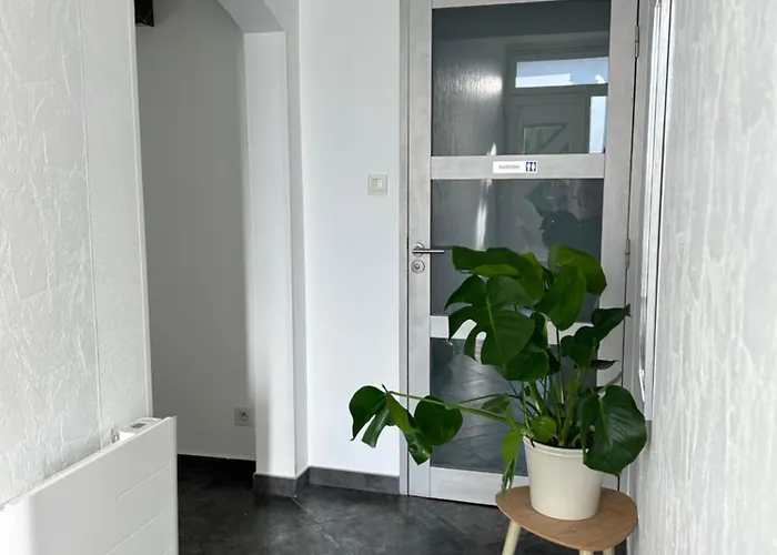 Joli Petit * 科尔马